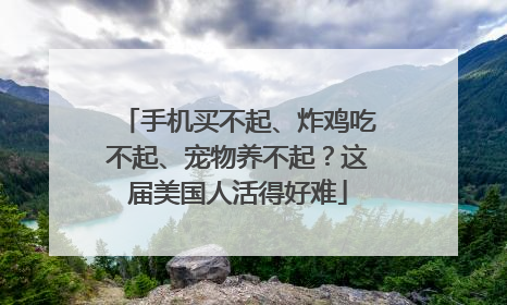 手机买不起、炸鸡吃不起、宠物养不起？这届美国人活得好难
