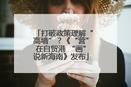 打破政策理解“高墙”？《“营”在自贸港 “画”说新海南》发布