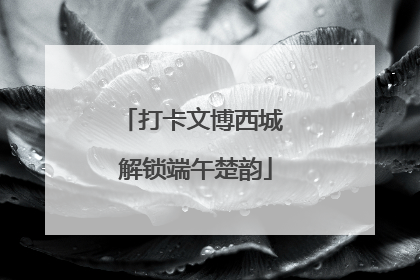 打卡文博西城 解锁端午楚韵
