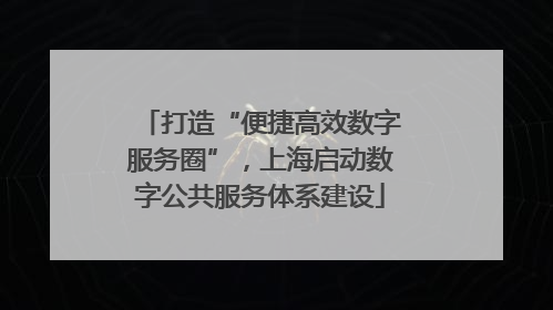 打造“便捷高效数字服务圈”，上海启动数字公共服务体系建设