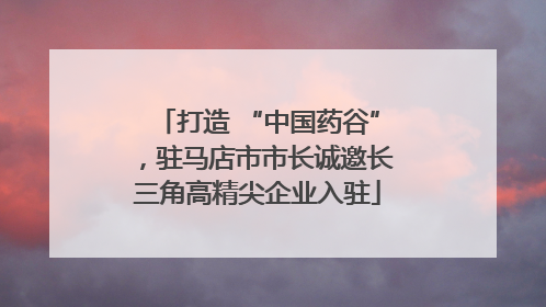 打造 “中国药谷”，驻马店市市长诚邀长三角高精尖企业入驻