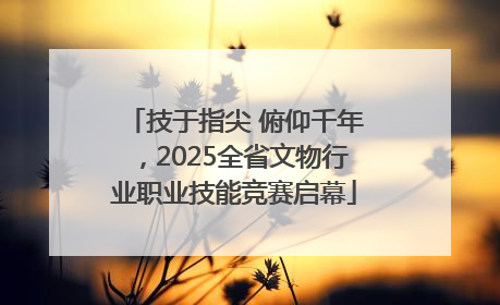 技于指尖 俯仰千年，2025全省文物行业职业技能竞赛启幕