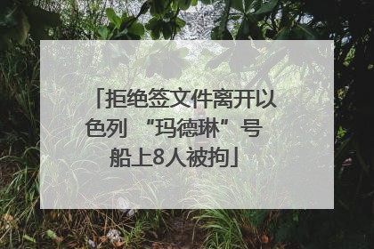 拒绝签文件离开以色列 “玛德琳”号船上8人被拘