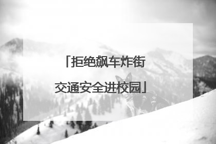 拒绝飙车炸街 交通安全进校园