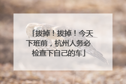 拔掉！拔掉！今天下班前，杭州人务必检查下自己的车