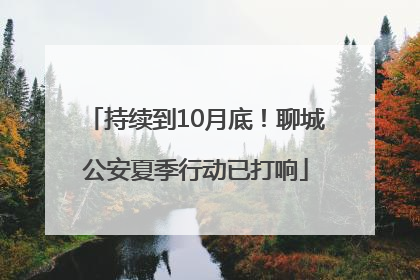 持续到10月底！聊城公安夏季行动已打响