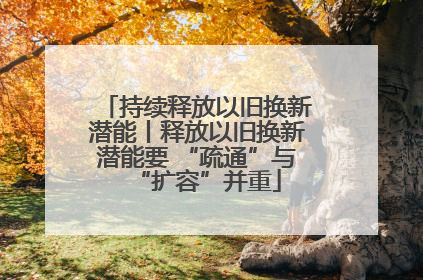 持续释放以旧换新潜能丨释放以旧换新潜能要 “疏通”与“扩容”并重