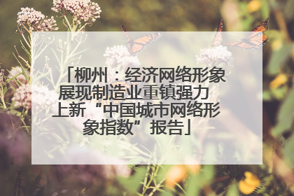 柳州：经济网络形象展现制造业重镇强力 上新“中国城市网络形象指数”报告