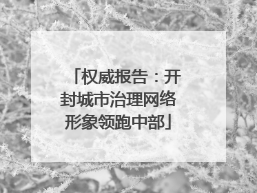 权威报告：开封城市治理网络形象领跑中部