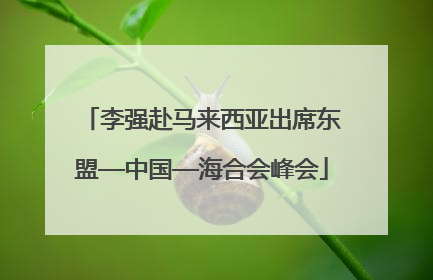 李强赴马来西亚出席东盟—中国—海合会峰会