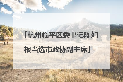 杭州临平区委书记陈如根当选市政协副主席