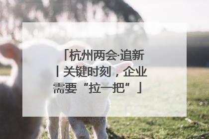 杭州两会·追新丨关键时刻，企业需要“拉一把”