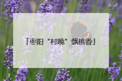 枣阳“村晚”飘桃香