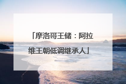 摩洛哥王储：阿拉维王朝低调继承人