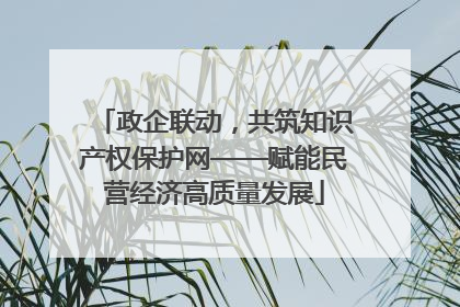 政企联动，共筑知识产权保护网——赋能民营经济高质量发展