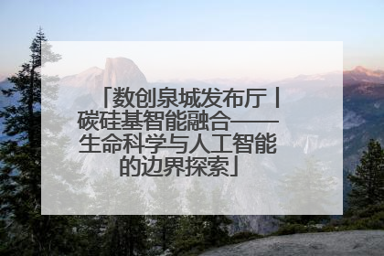 数创泉城发布厅丨碳硅基智能融合——生命科学与人工智能的边界探索