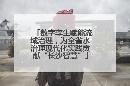 数字孪生赋能流域治理，为全省水治理现代化实践贡献“长沙智慧”