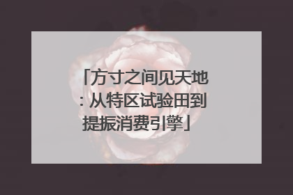 方寸之间见天地：从特区试验田到提振消费引擎