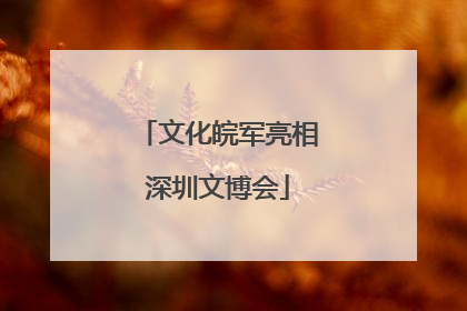 文化皖军亮相深圳文博会