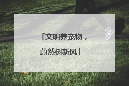 文明养宠物，蔚然树新风