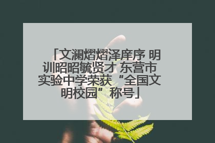 文澜熠熠泽庠序 明训昭昭毓贤才 东营市实验中学荣获“全国文明校园”称号