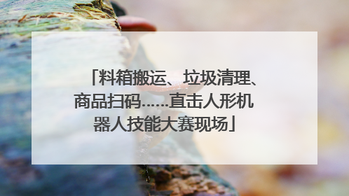 料箱搬运、垃圾清理、商品扫码……直击人形机器人技能大赛现场