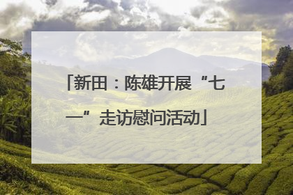 新田：陈雄开展“七一”走访慰问活动