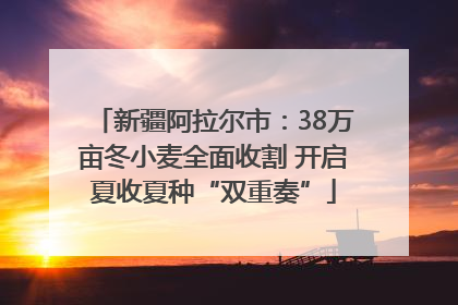 新疆阿拉尔市：38万亩冬小麦全面收割 开启夏收夏种“双重奏”