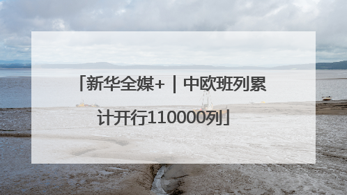 新华全媒+｜中欧班列累计开行110000列