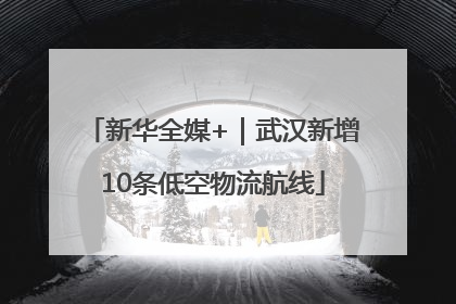 新华全媒+｜武汉新增10条低空物流航线