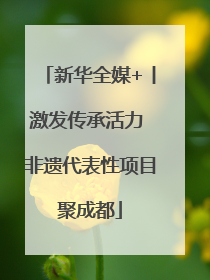 新华全媒+丨激发传承活力 非遗代表性项目聚成都