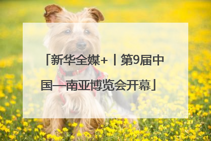 新华全媒+丨第9届中国—南亚博览会开幕