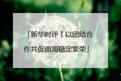 新华时评丨以团结合作共促南海稳定繁荣