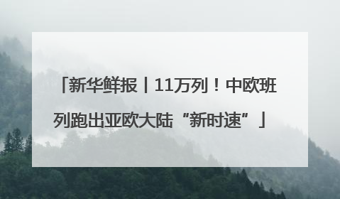 新华鲜报丨11万列！中欧班列跑出亚欧大陆“新时速”
