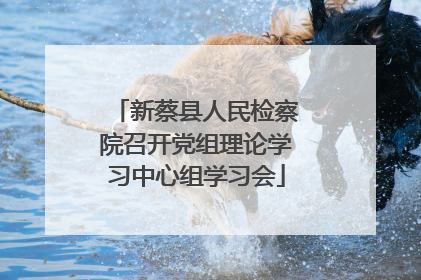 新蔡县人民检察院召开党组理论学习中心组学习会