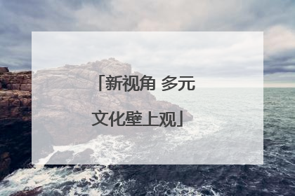 新视角 多元文化壁上观