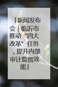 新闻发布会｜临沂市推动“四大改革”任务，提升内部审计监督效能