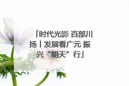 时代光影 百部川扬丨发展看广元 振兴“朝天”行