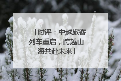 时评：中越旅客列车重启，跨越山海共赴未来