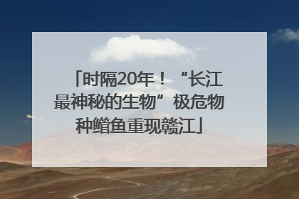 时隔20年！“长江最神秘的生物”极危物种鳤鱼重现赣江