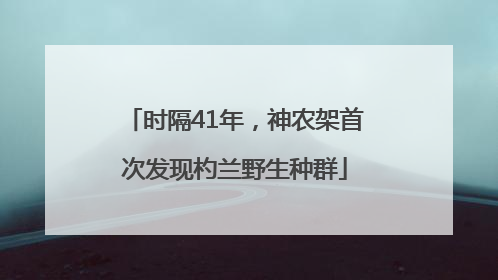 时隔41年，神农架首次发现杓兰野生种群