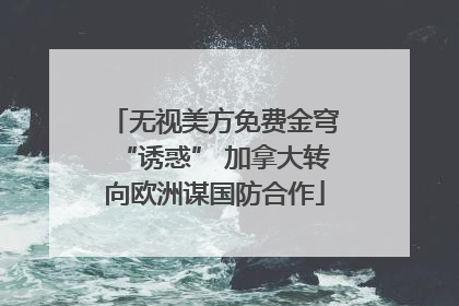 无视美方免费金穹“诱惑” 加拿大转向欧洲谋国防合作