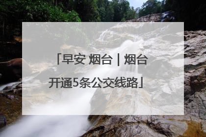 早安 烟台｜烟台开通5条公交线路