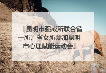 昆明市强戒所联合省一所、省女所参加昆明市心理赋能运动会