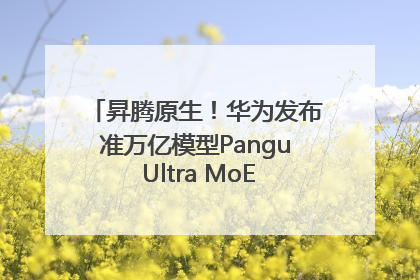 昇腾原生！华为发布准万亿模型Pangu Ultra MoE模型架构和训练细节