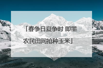 春争日夏争时 即墨农民田间抢种玉米