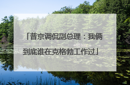 普京调侃副总理：我俩到底谁在克格勃工作过