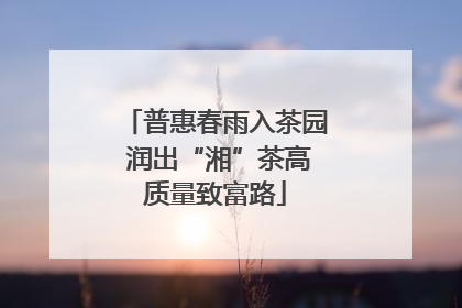普惠春雨入茶园 润出“湘”茶高质量致富路