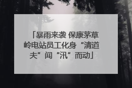 暴雨来袭 保康茅草岭电站员工化身“清道夫”闻“汛”而动