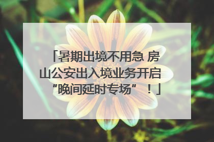 暑期出境不用急 房山公安出入境业务开启“晚间延时专场”！